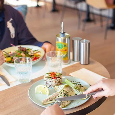 Ibis Aéroport Promenade Des 3* Niza